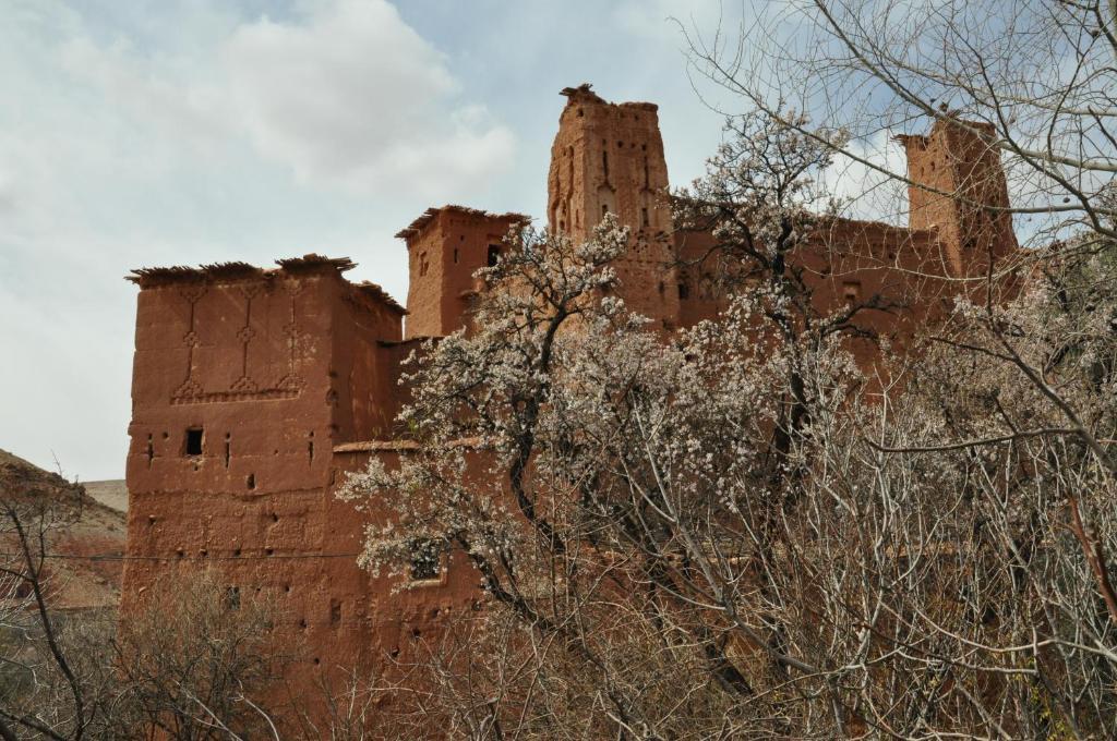 Kasbah Tigmi N'Oufella Bed & Breakfast Telouet Екстериор снимка
